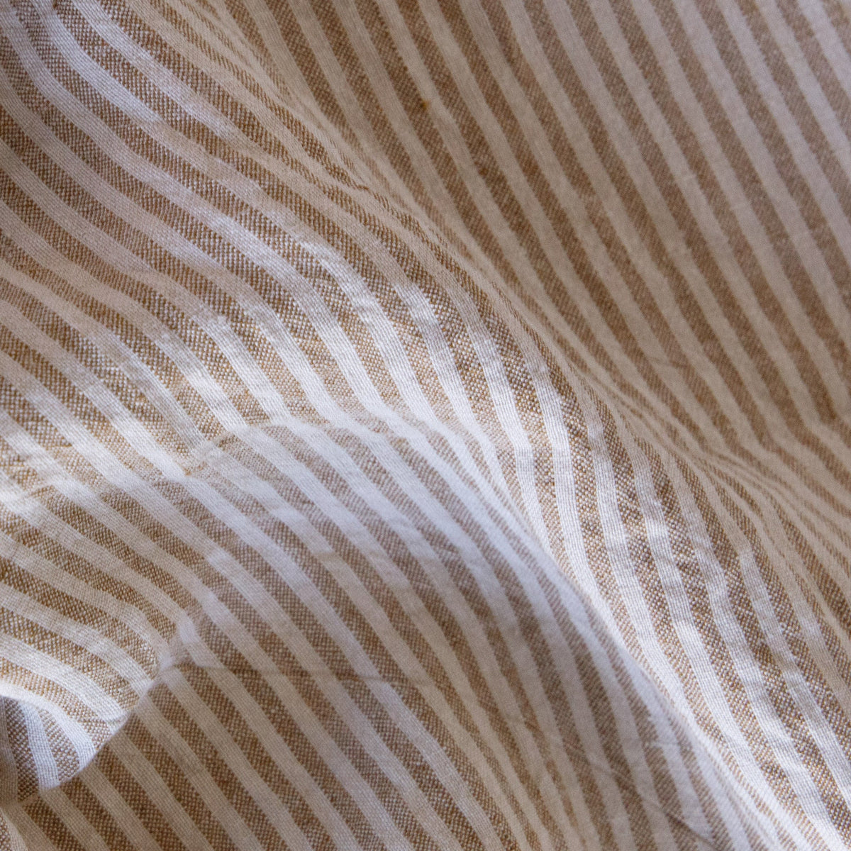 Brun/Sable